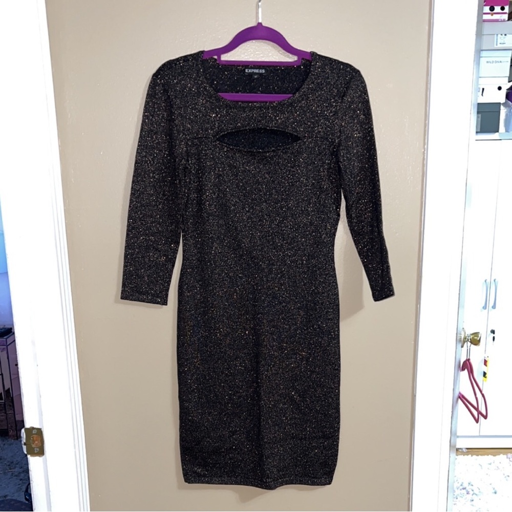 Express Glittery Sweater Dress XS
